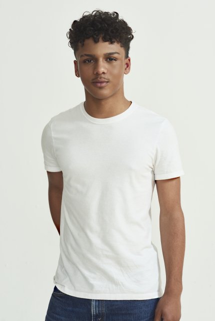 Vertical Image 2